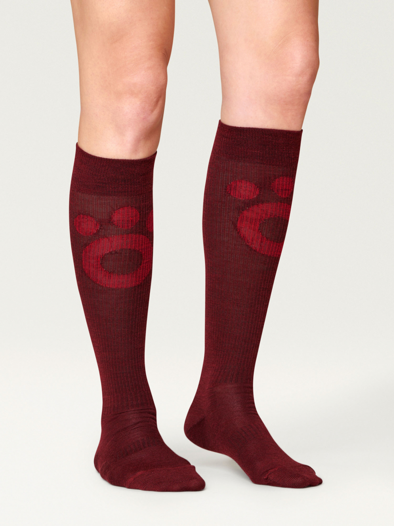 Compression Merino Socks - Red wine in the group Accessories / Socks / Compression socks at Röyk (8053436_r)